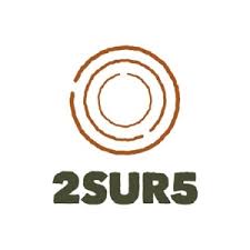 LOGO 2SUR5